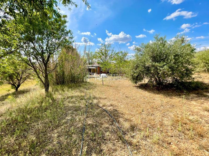 Foto 5b576f33-4e4d-4469-8b16-a27f5eec79da. Finca rústica terrenos en venta en Valdeavero