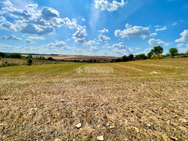 Foto 93e12c9e-bf04-4363-a184-36bd71182c2f. Finca rústica terrenos en venta en Valdeavero