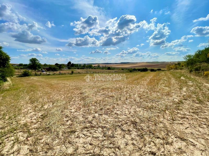 Foto 98aeeea8-53e4-497b-89eb-73d175977ed2. Finca rústica terrenos en venta en Valdeavero