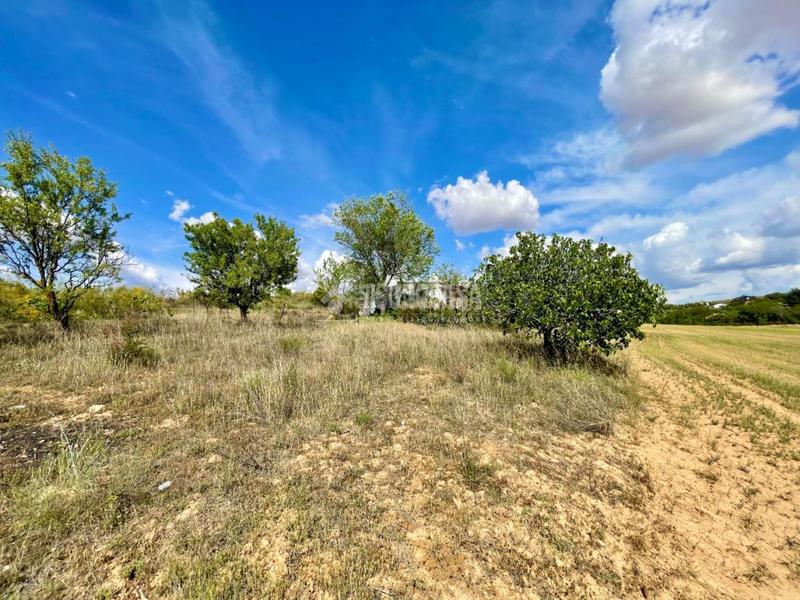 Foto 9a182935-c4a2-459c-b105-a0fa02bac61d. Finca rústica terrenos en venta en Valdeavero