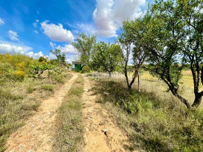 Foto bf47b4c5-6f46-49dc-9645-95b22267a15f. Finca rústica terrenos en venta en Valdeavero