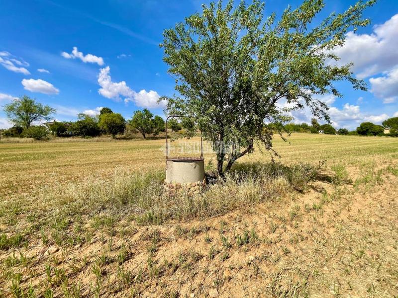 Foto ef2424ff-82a2-4857-8fd7-0e5bf5bf32ce. Finca rústica terrenos en venta en Valdeavero