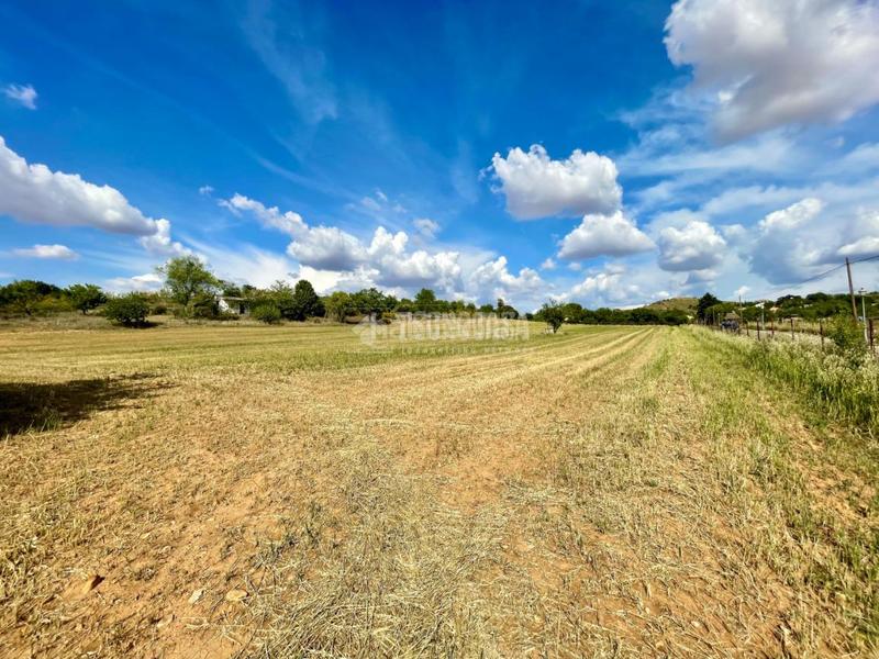 Foto f17057dd-e9fe-4e9e-8805-60e38f779eb3. Finca rústica terrenos en venta en Valdeavero