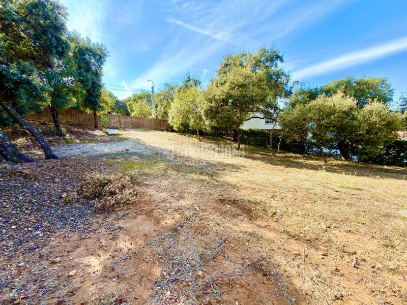 Foto 9481e931-fd2a-48e2-9ec6-bc7bf286f86e. Wohngrundstück in Valdeaveruelo