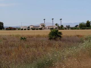 Terreny residencial a Formentera del Segura