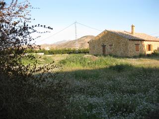 Xalet a Montepinar - La Aparecida - Raiguero