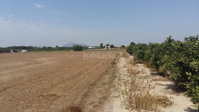 Foto 09f9c4de-31a3-4f3b-b2a5-88c65aeacdbe. Terreno residencial en Daya Nueva