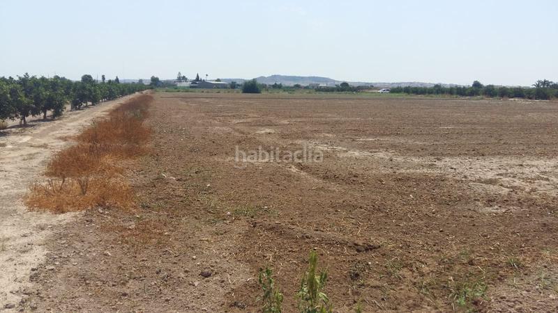 Foto 52965bf7-b293-459e-a2e6-19f0bc3594f2. Terreno residencial en Daya Nueva