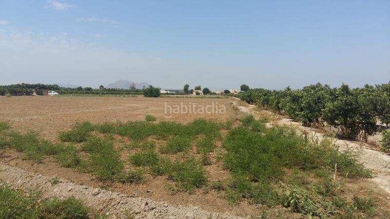 Foto 63a4784e-c742-4281-9d1f-8f50263d3be0. Terreno residencial en Daya Nueva