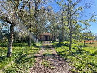 Masia  Villamayor. Casa rústica en venta en  carretera de villamayor