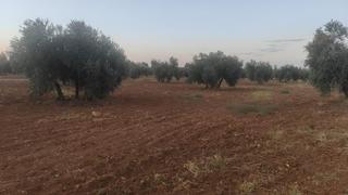 Terreny residencial  Polígono 35 parcela 279. Venta de terreno rústico agrícola en argamasilla de cvta