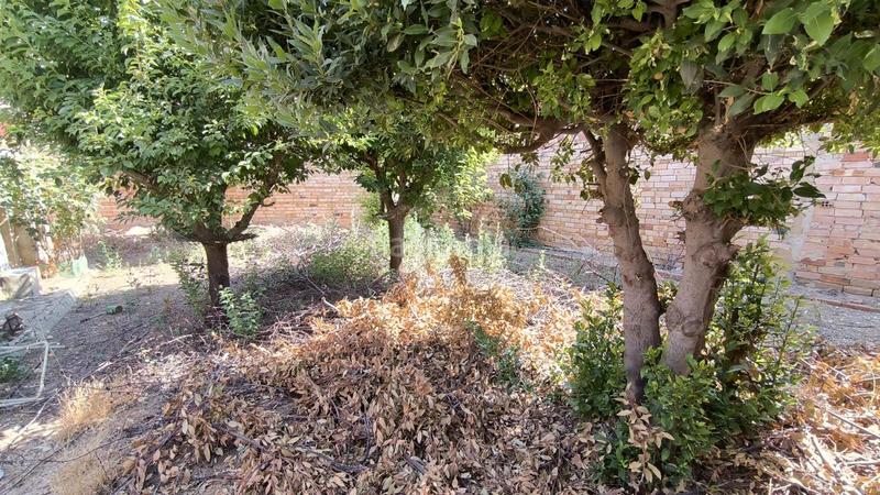 Foto 6a2991e6-99a3-4dfa-8f4e-3a58de46a5f4. Casale in Argamasilla de Calatrava