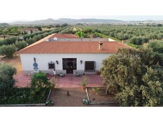 Chalet à Piedrabuena. Ref 23038  casa de campo con olivar