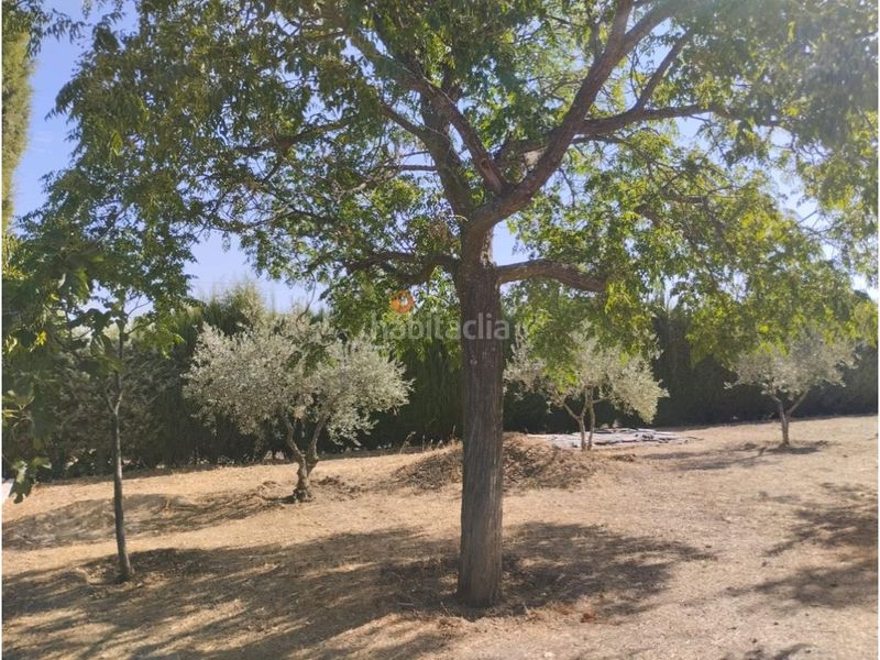 Foto be76bd5c-2b22-406d-bd44-3e1198a58579. Chalet ref 23144 chalet en almodovar del campo en Almodóvar del Campo