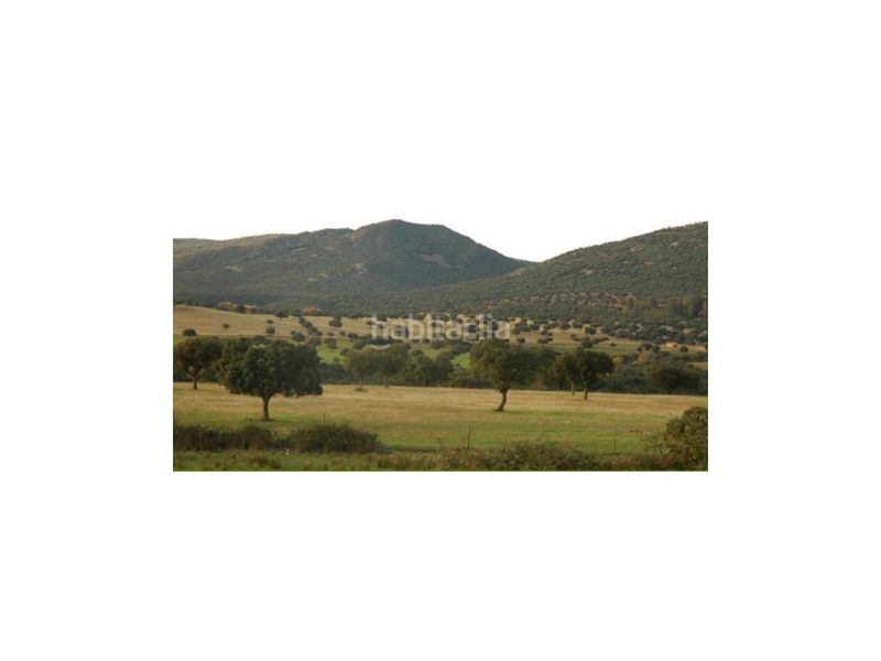 Foto 86069987-f63b-49fa-9709-823500b90a16. Terreny residencial a Centro Puertollano