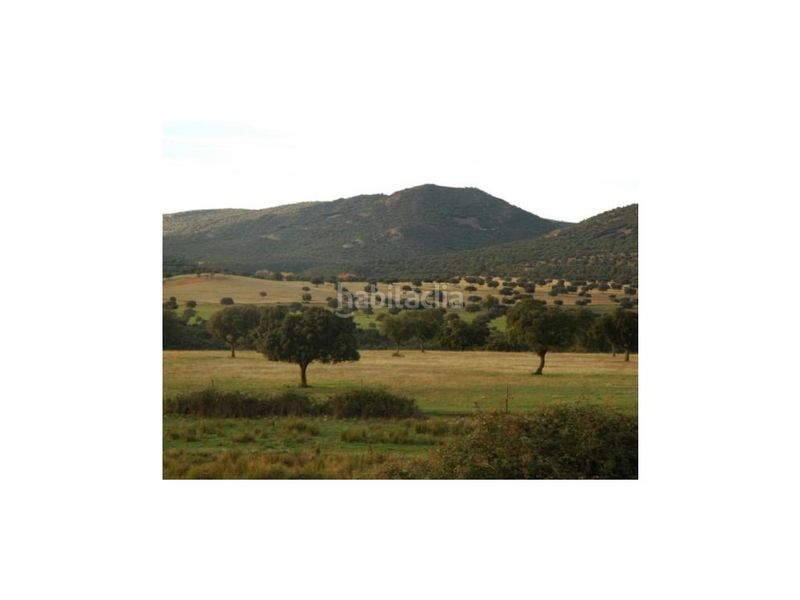 Foto f256bec2-0079-47f4-8233-6c4669c2350c. Terreny residencial a Centro Puertollano