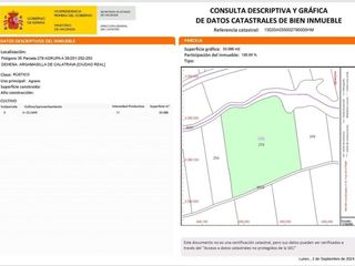 Terreno residenziale in Argamasilla de Calatrava. Ref 24124  venta de terreno rústico agrícola en argamasilla de c