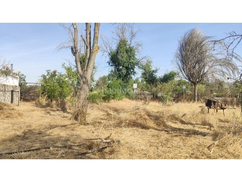 Foto c67051bf-cfbd-4208-a395-588e3750d1c9. Casa a Almodóvar del Campo
