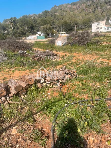 Foto 054ba92f-38df-45ae-88b7-cecf3b6102ab. Finca rústica parcela marxuquera excelente ubicación en Palma de Gandía