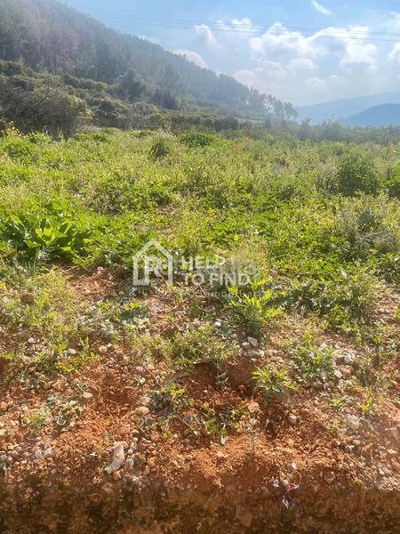 Foto 185071d2-0d35-4f70-8215-e99e068305d5. Finca rústica parcela marxuquera excelente ubicación en Palma de Gandía