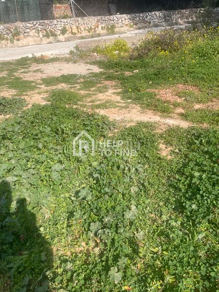 Foto 24f709df-e8fb-480d-abd0-55fb46754a88. Finca rústica parcela marxuquera excelente ubicación en Palma de Gandía