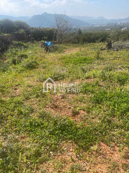 Foto 31f2ec46-ad77-4776-a8d3-c7b861851279. Finca rústica parcela marxuquera excelente ubicación en Palma de Gandía