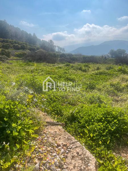 Foto 34870e9d-8a79-4d7a-a37e-ec0bac07f769. Finca rústica parcela marxuquera excelente ubicación en Palma de Gandía