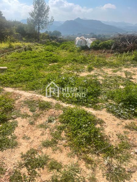 Foto 3f5e1ba3-fc57-4569-9301-62b3b94287ac. Finca rústica parcela marxuquera excelente ubicación en Palma de Gandía