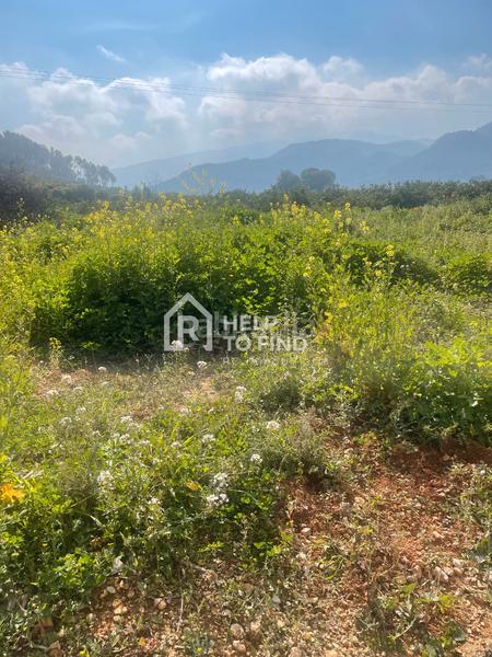 Foto 637c008f-bc44-460d-9dc0-ced0d8a5c1a6. Finca rústica parcela marxuquera excelente ubicación en Palma de Gandía