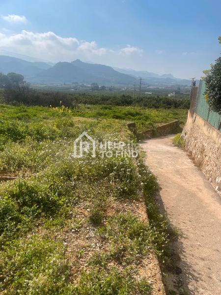 Foto 676ee6a9-8d96-41a8-bddf-d52d28a4c024. Finca rústica parcela marxuquera excelente ubicación en Palma de Gandía