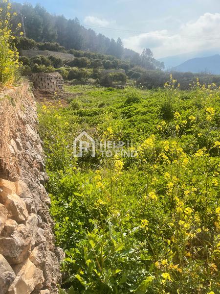 Foto 69281a6f-0e8a-4cb2-8751-0f61a1382af4. Finca rústica parcela marxuquera excelente ubicación en Palma de Gandía