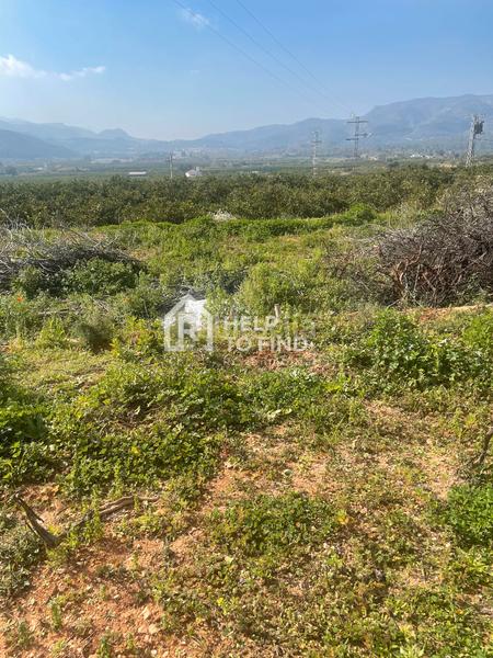 Foto 7cc5460b-3268-4f69-bc3e-065fcbbddd4c. Finca rústica parcela marxuquera excelente ubicación en Palma de Gandía