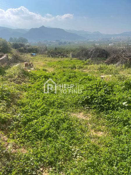 Foto 7f4bca76-b819-4a68-beeb-5806aaa10a8b. Finca rústica parcela marxuquera excelente ubicación en Palma de Gandía