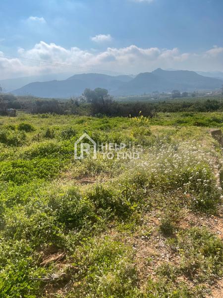 Foto 8622a77a-ee7d-402a-ac2a-1504d53a1d83. Finca rústica parcela marxuquera excelente ubicación en Palma de Gandía