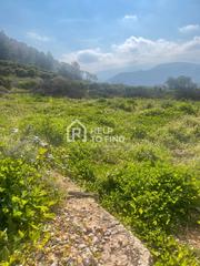 Rural plot in Palma de Gandía. Parcela marxuquera excelente ubicación