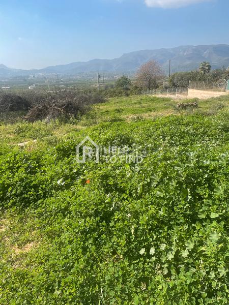 Foto db0caff8-35a9-4128-83d1-92710dcac607. Finca rústica parcela marxuquera excelente ubicación en Palma de Gandía