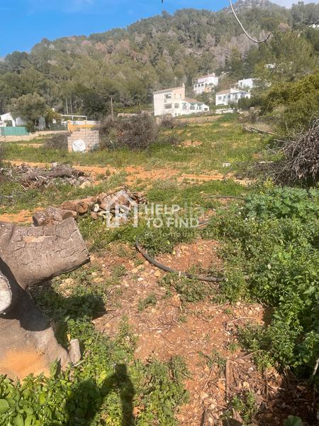 Foto ec56f7e7-29e2-406a-9b33-dc1c21dbf961. Finca rústica parcela marxuquera excelente ubicación en Palma de Gandía