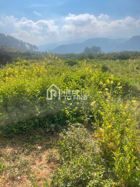 Foto fbf6d2cb-a921-4095-b320-a34a33607da6. Finca rústica parcela marxuquera excelente ubicación en Palma de Gandía