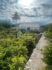 Rural plot in Palma de Gandía. Terreno rustico con construccion