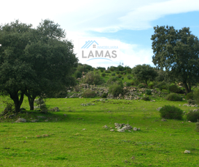 Propriété à N/a. Finca en jaraiz de la vera – parcela el rivero