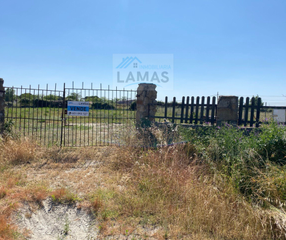 Finca rústica  Diseminado dehesa los pinos. Parcela en urbanización el pino (saucedilla)