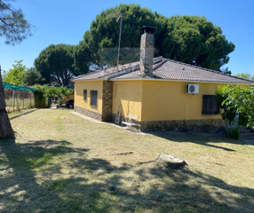 Masia  Diseminado dehesa los pinos. Parcela con casa y nave en el pino, saucedilla