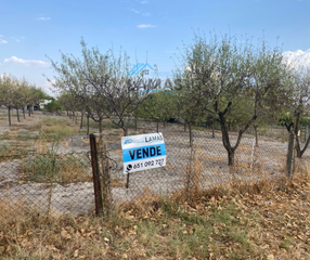 Finca rústica a Calle cementerio 53. Parcela en navalmoral de la mata