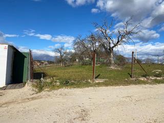 Finca rústica a Talayuela. Parcela de 600 m2 en talayuela