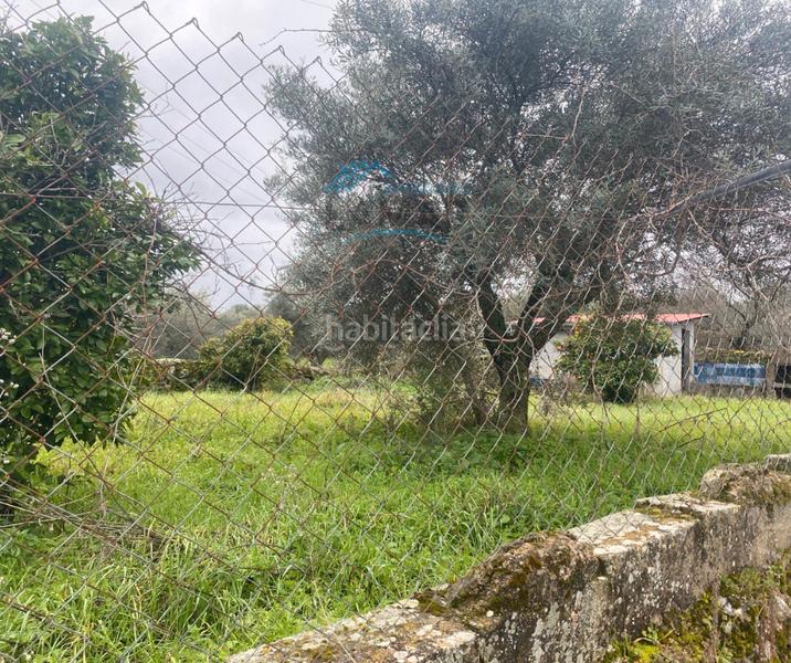Foto d968d130-1cf1-4b31-8d48-1e2b6c3038ee. Finca rústica huerto-parcela rústica en Belvís de Monroy