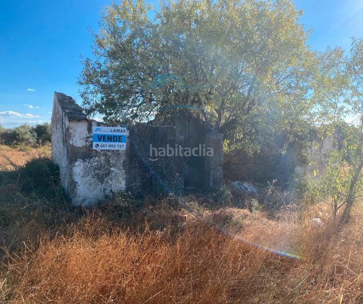 Foto 09679e3e-2322-48dc-8e0e-0a81d51c9284. Propriété dans Saucedilla