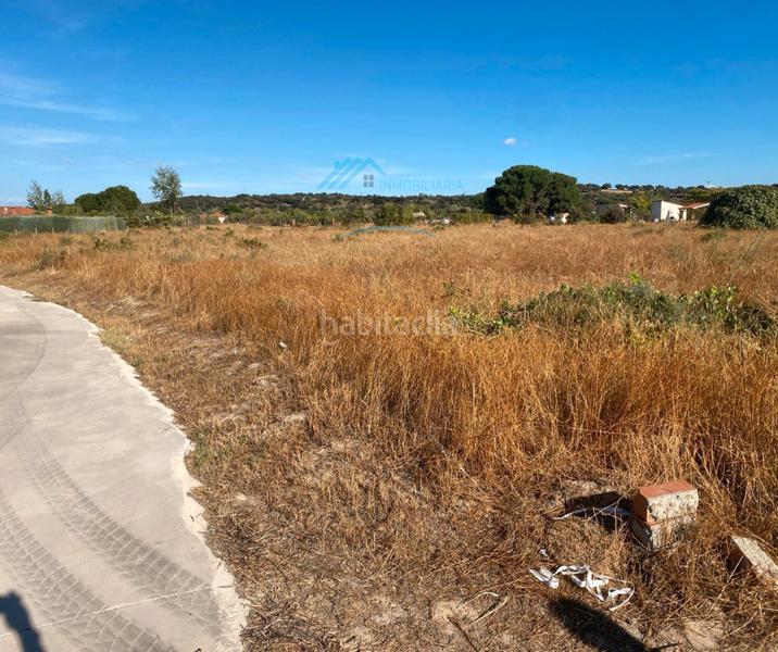 Foto c7c4b64c-90c1-4147-8153-5cf16895e187. Propriété dans Saucedilla