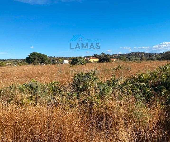 Foto f9c671c2-66c4-4626-b9cb-92f0b41148a2. Propriété dans Saucedilla