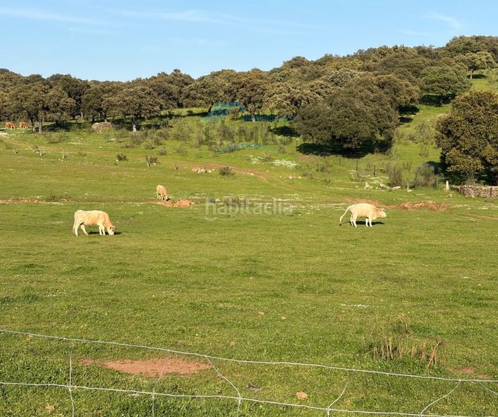Foto 594af6f0-c121-4856-8f02-4c73244ec1f7. Finca rústica a Serrejón