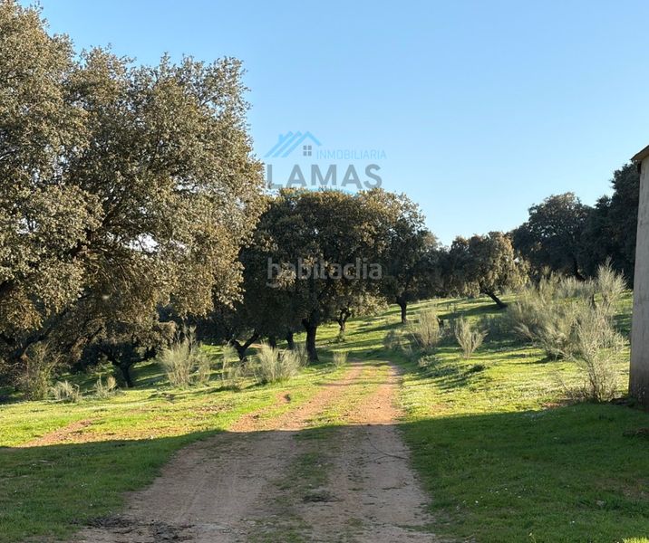 Foto 6c4ec103-8374-433f-ac5e-47051b6e3399. Finca rústica a Serrejón